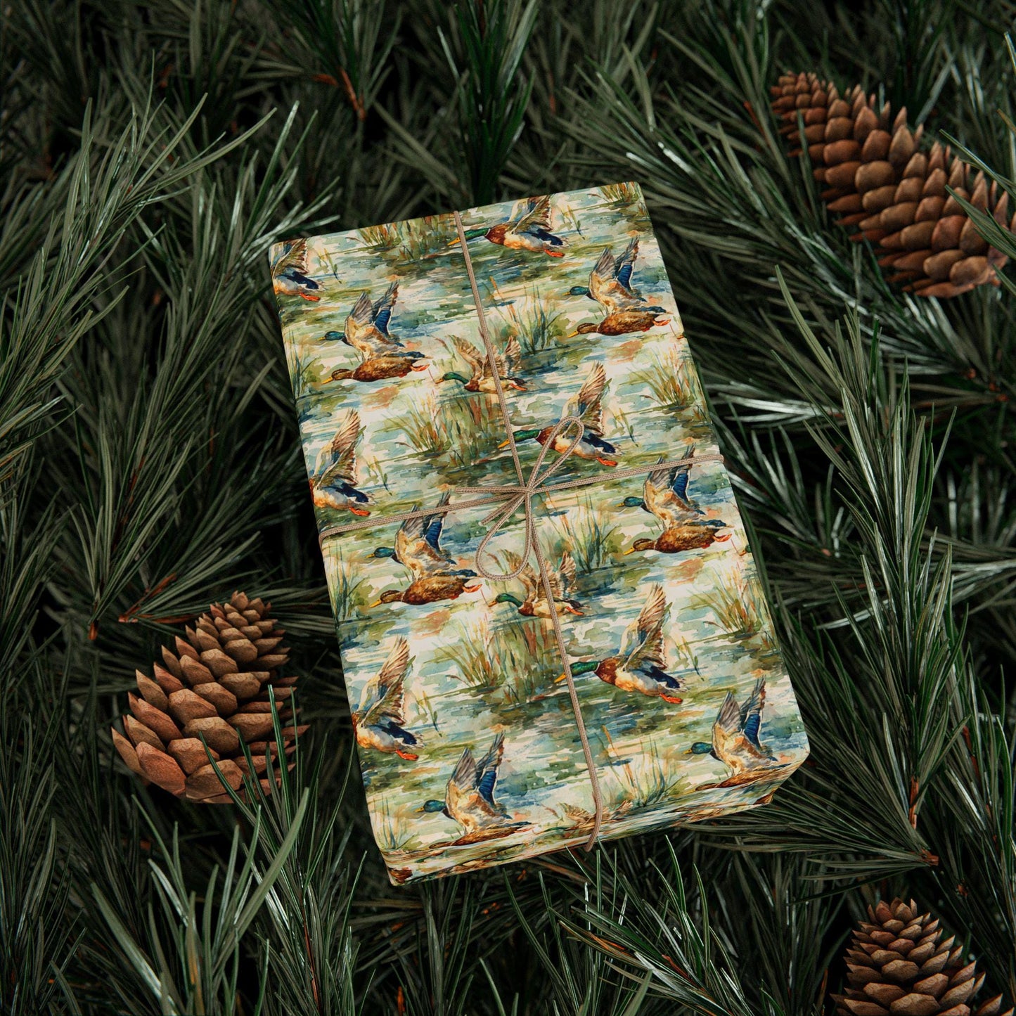 Bird Watching Theme Gift Wrap Roll, Nature Inspired Wrapping Paper for Bird Lovers and Outdoor Gifts #14