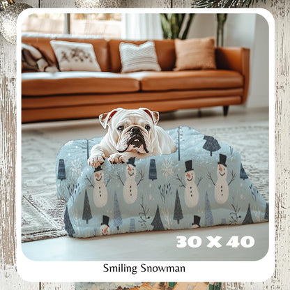 Christmas Blanket, Cozy Snowman Throw Blanket, Frosty the Snowman, Plush Throw Blanket, Baby Blanket, Best Christmas Gift, HarborIslandDecor