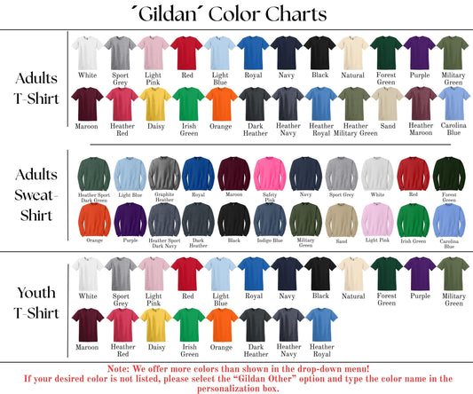 Detroit Football Retro Style Shirt, Detroit Football Sweatshirt, Detroit Football Shirt, Detroit T-shirt, Sunday Football, Gameday Shirt