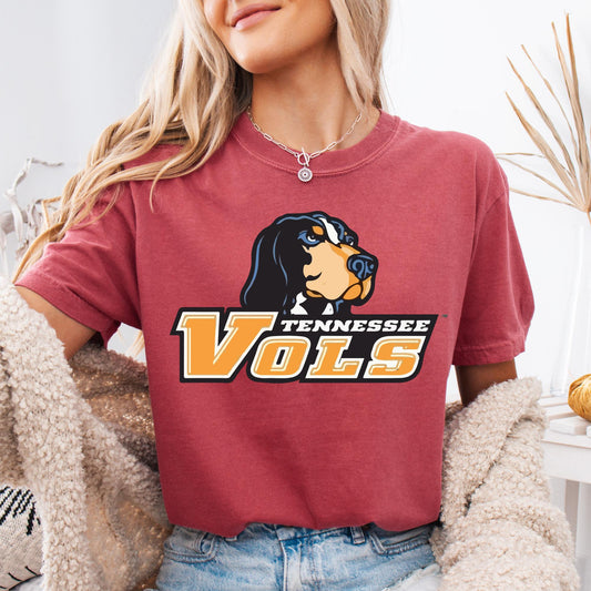 Tennessee Vols Comfort Colors Shirt, Tennessee Game Day Shirt, Tennessee State T-Shirt, Tennessee Football Shirt, Tennessee Volunteers Shirt