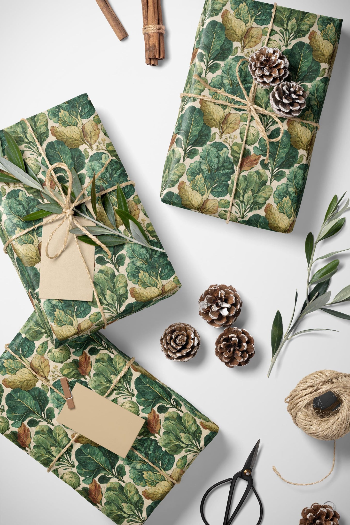 Farmers Market Wrapping Paper Roll Rustic Farmhouse Kale Leafy Greens Illustration Eco Friendly Country Kitchen Gift Wrap #74