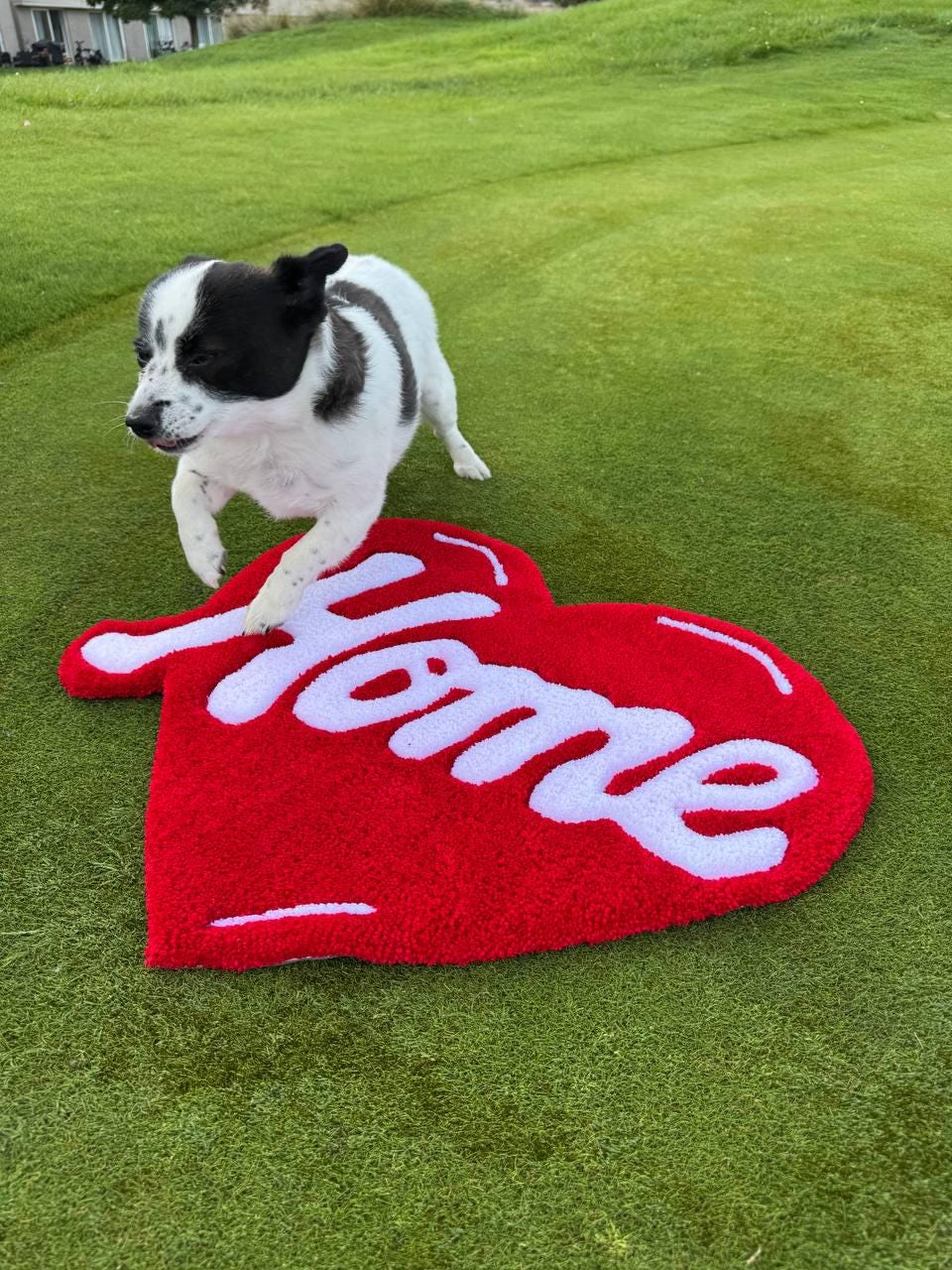 Heart-shaped tufted rug – Handmade love rug, romantic home decor, Valentine’s gift, cozy heart carpet, fluffy rug, custom design