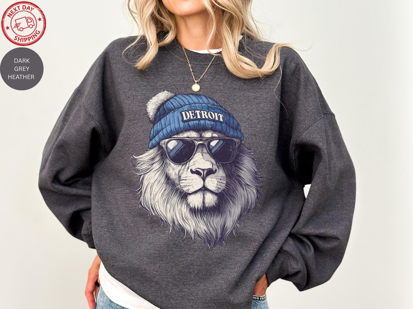 Detroit Football Shirt, Distressed Detroit Football Sweatshirt, Detroit Lions Shirt, Detroit Fan Gifts, Team Shirt