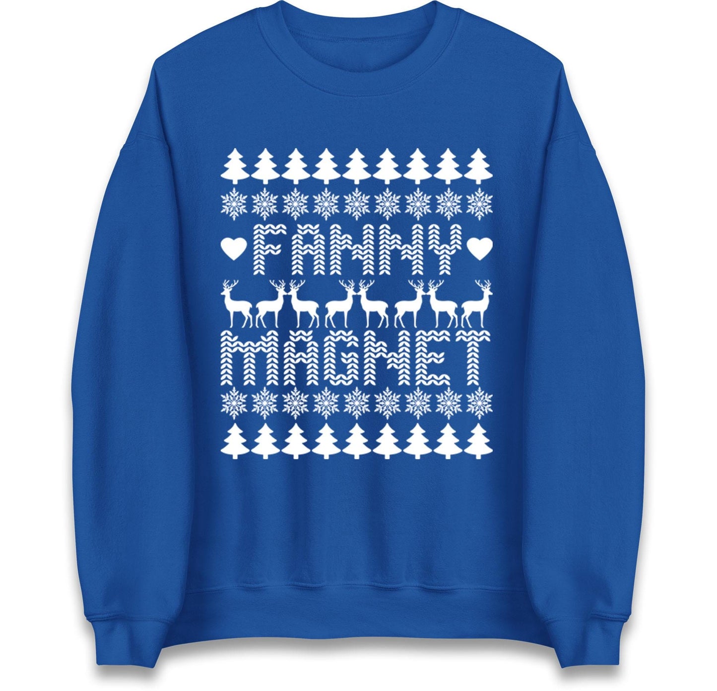 Fa**y magnet Christmas Jumper, Offensive Xmas Funny Christmas Jumper, Xmas Rude Adults Humorous Hoodie, Christmas T Shirt
