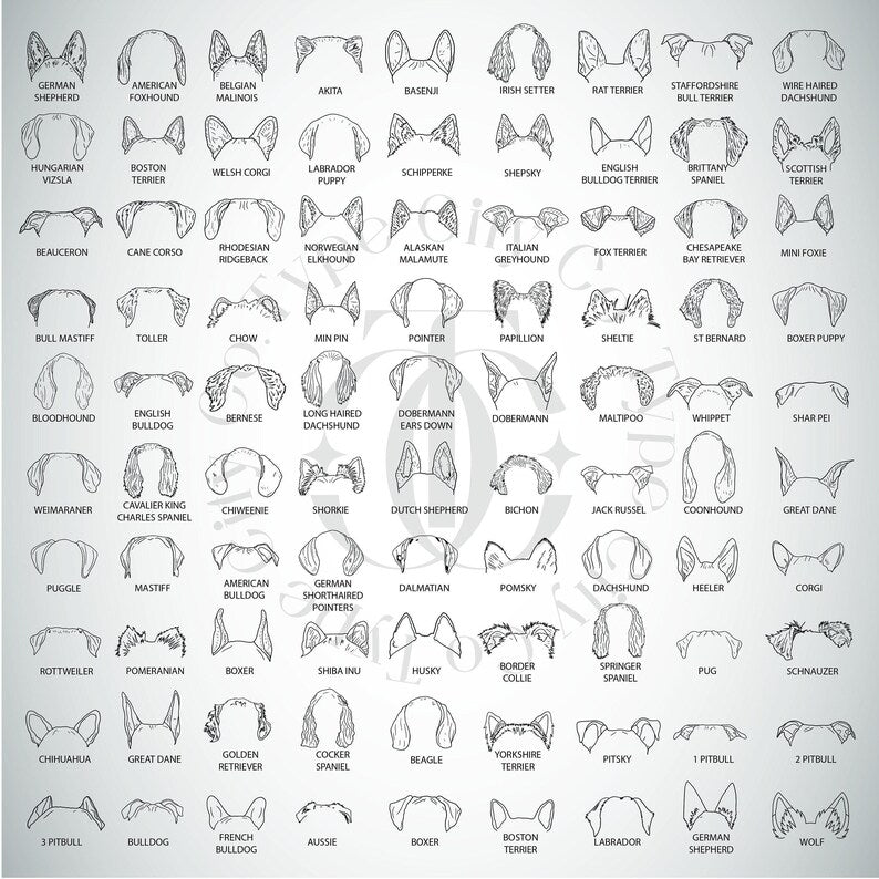 Custom Embroidered Dog Sweatshirt, Dog Lover Hoodie, Pet lover New Dog Owner Gift, Dog Mom, Dog Dad Personalized Crewneck, Puppy Hoodie Gift