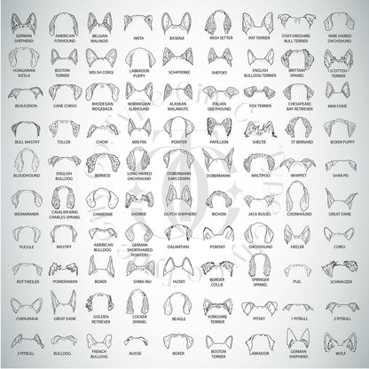 Custom Embroidered Dog Sweatshirt, Dog Lover Hoodie, Pet lover New Dog Owner Gift, Dog Mom, Dog Dad Personalized Crewneck, Puppy Hoodie Gift