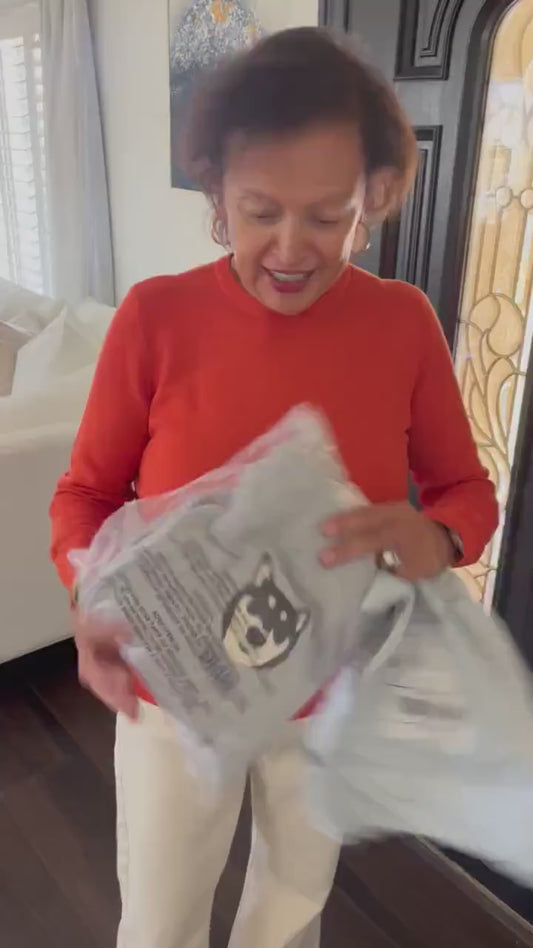 Custom Dog Face Hoodie from Your Photo, Varsity Personalized Embroidered Hoodie with Dog Name, Est Hoodie, Dog Owner Gift Idea