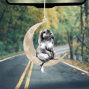 Rabbit Sits On The Moon Hanging Flat Acrylic Ornament_5932, Ornament Decoration, Ornament Christmas - TeeZworldVN