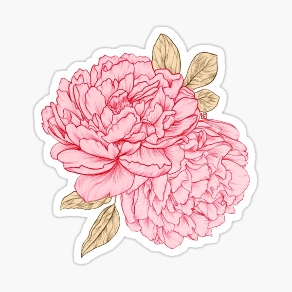 Pink Peonies Sticker
