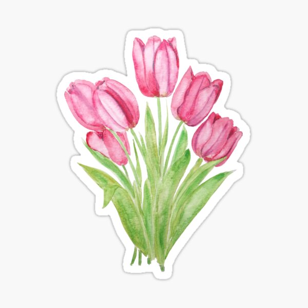 hand painted pink tulips flowers  watercolor painting  Sticker