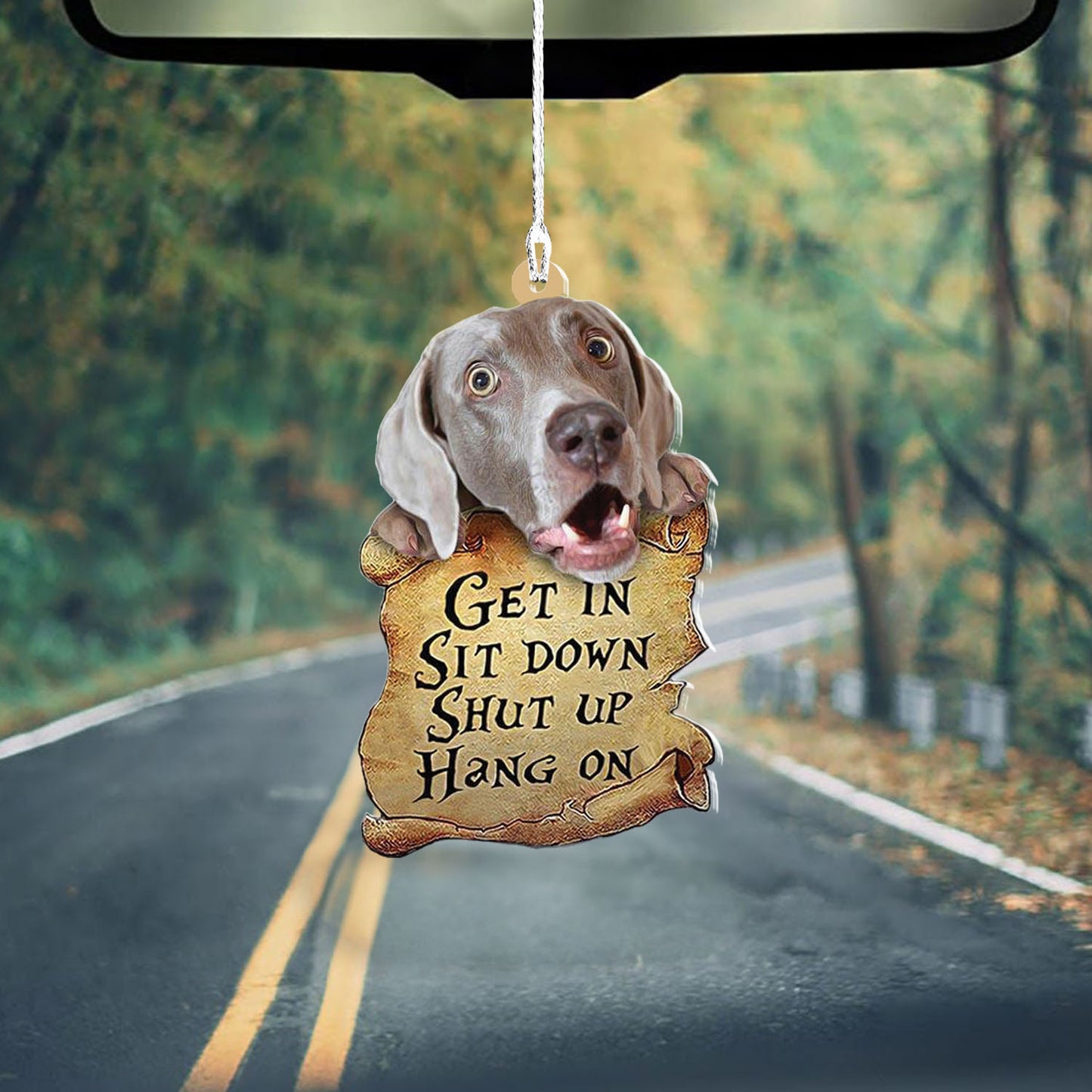 Weimaraner Get In Sit Down Shut Up Hang On Two Sided Mica Plastic Ornament, Ornament Decoration, Ornament Christmas - TeeZworldVN