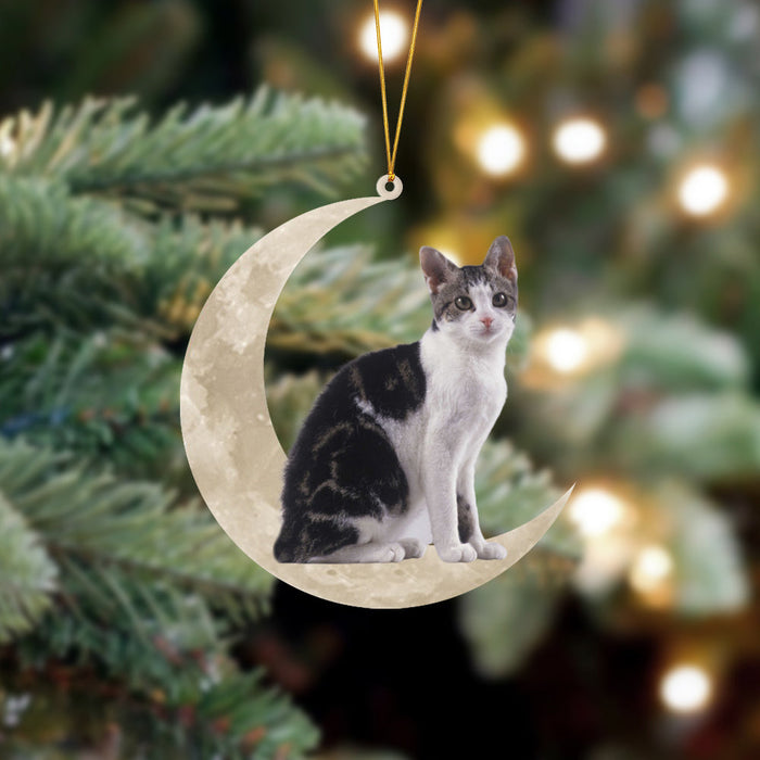 American Wirehair Cat Sits On The Moon Hanging Ornament Cat Christmas Acrylic Ornament - Best gifts your whole family