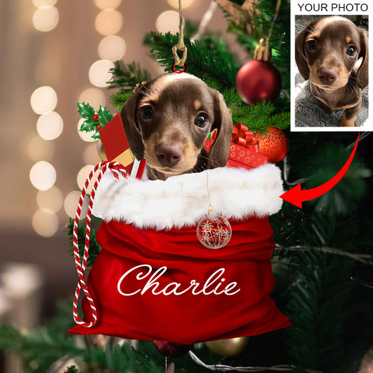 Personalized Gift For Pet Lovers Pet In Xmas Bag Ornament - Best gifts your whole family