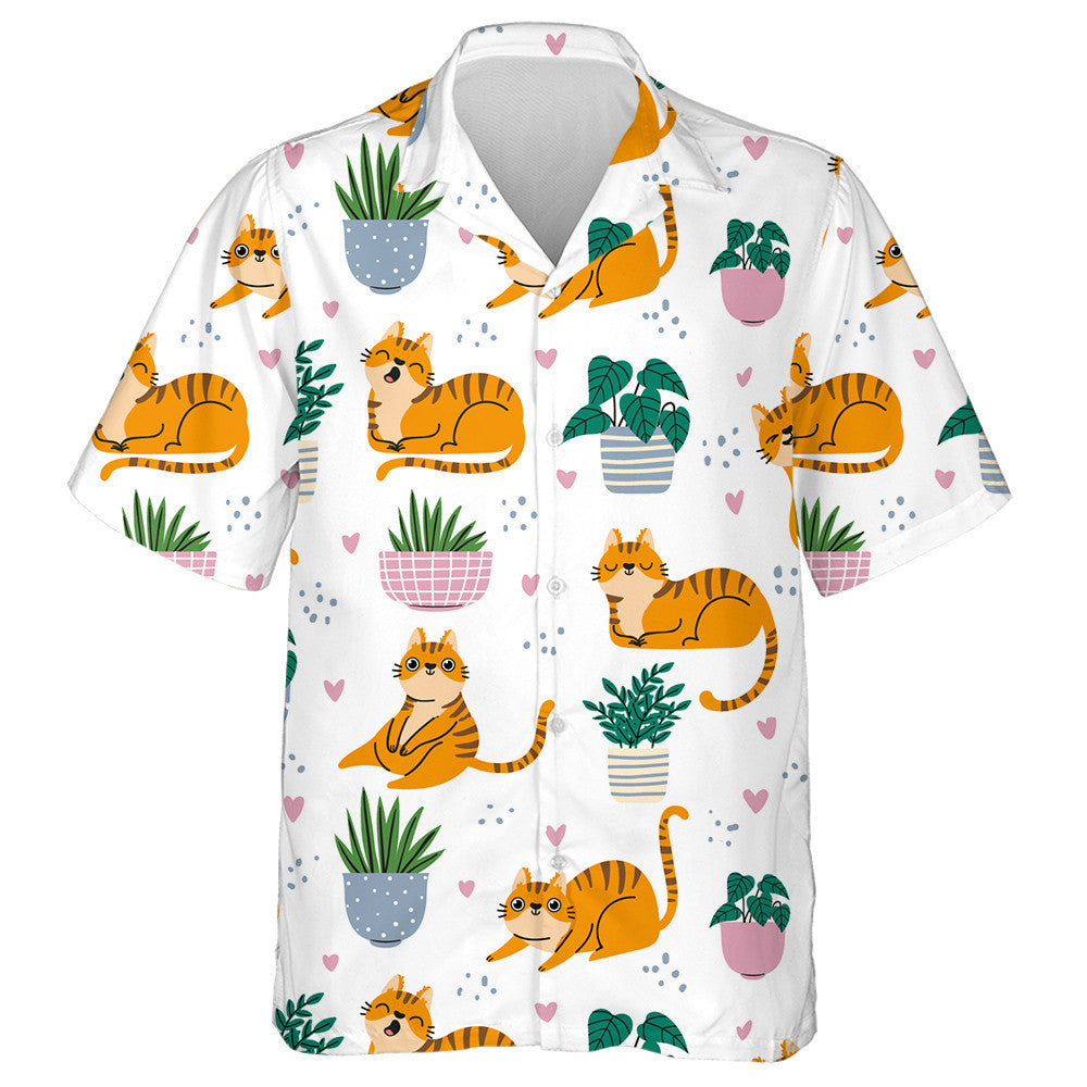 Cartún Cait Dearga Greannmhar agus Plandaí i bPota Léine Haváís, Bronntanas Léine Haváíais, Bronntanas Nollag