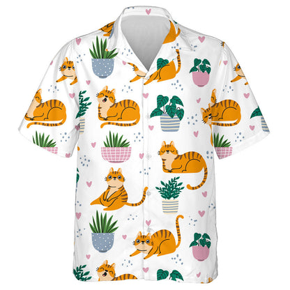 Cartún Cait Dearga Greannmhar agus Plandaí i bPota Léine Haváís, Bronntanas Léine Haváíais, Bronntanas Nollag