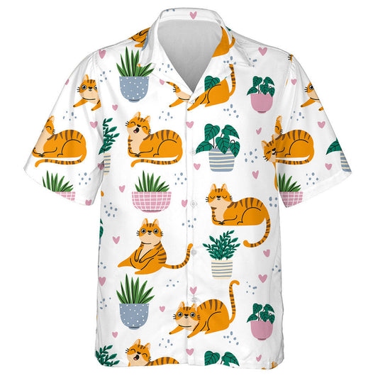 Cartún Cait Dearga Greannmhar agus Plandaí i bPota Léine Haváís, Bronntanas Léine Haváíais, Bronntanas Nollag