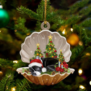 Boston Terrier-Sleeping Pearl in Christmas Two Sided Christmas Plastic Hanging Ornament, Christmas Ornament Gift, Christmas Gift, Christmas Decoration
