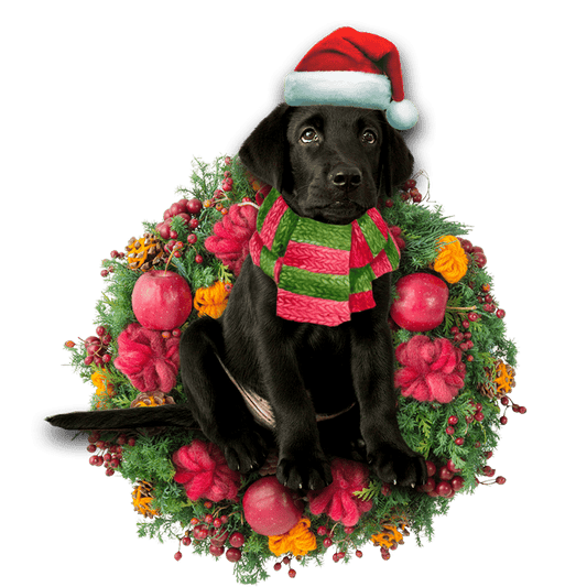 Black Labrador Retriever Christmas Christmas Plastic Hanging Ornament, Christmas Ornament Gift, Christmas Gift, Christmas Decoration