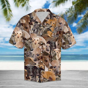 Amazing Greyhound Love Dog Breed Design Hawaiian Shirt, Hawaiian Shirt Gift, Christmas Gift