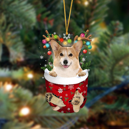 Corgi-In Christmas Pocket Two Sides Christmas Plastic Hanging Ornament, Christmas Gift, Christmas Decoration