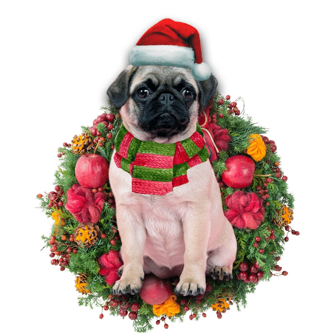 Chihuahua Pug Christmas Christmas Plastic Hanging Ornament, Happy Christmas Ornament, Christmas Gift, Christmas Decoration
