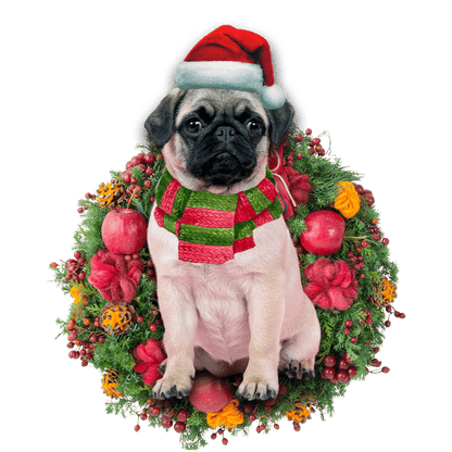 Chihuahua Pug Christmas Christmas Plastic Hanging Ornament, Happy Christmas Ornament, Christmas Gift, Christmas Decoration