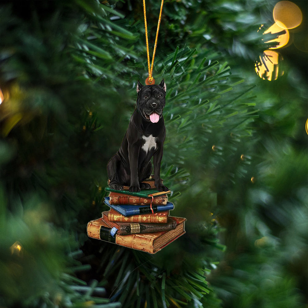 Cane Corso-Sit On The Book Two Sides Christmas Plastic Hanging Ornament, Happy Christmas Ornament, Christmas Gift, Christmas Decoration