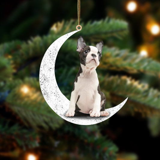 Boston-Sit On The Moon-Two Sided Christmas Plastic Hanging Ornament, Christmas Ornament Gift, Christmas Gift, Christmas Decoration