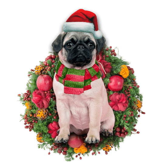 Chihuahua Pug Christmas Ornament, Happy Christmas Ornament, Christmas Gift, Christmas Decoration
