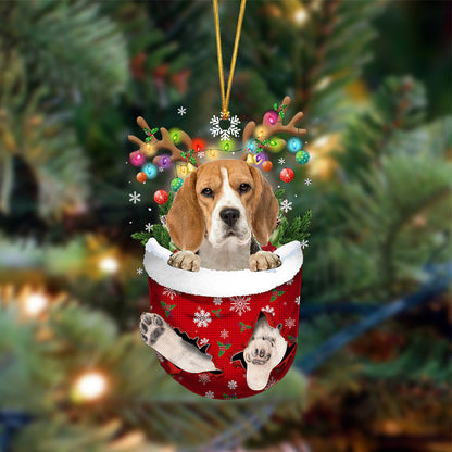 Beagle-In Christmas Pocket Two Sides Christmas Plastic Hanging Ornament, Christmas Ornament Gift, Christmas Gift, Christmas Decoration