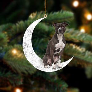 Black and White Pitbull-Sit On The Moon-Two Sided Christmas Plastic Hanging Ornament, Christmas Ornament Gift, Christmas Gift, Christmas Decoration