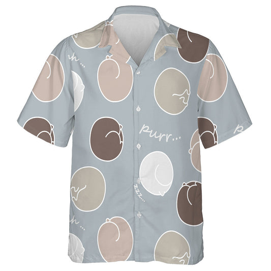 Cait Codlata I Liathróid Leis na Focail Shhh Purr Léine Haváíais, Bronntanas Léine Haváíais, Bronntanas Nollag