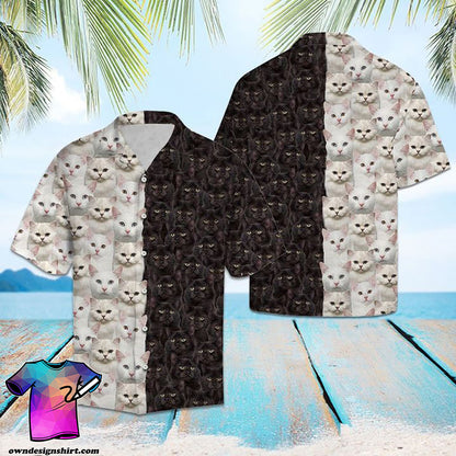 Léine Haváís Cat Aghaidh, Bronntanas Léine Haváís, Bronntanas Nollag