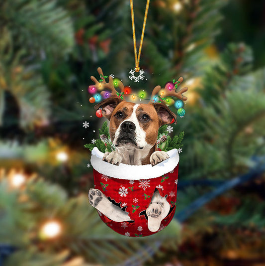 Bulldog-In Christmas Pocket Two Sides Christmas Plastic Hanging Ornament, Happy Christmas Ornament, Christmas Gift, Christmas Decoration