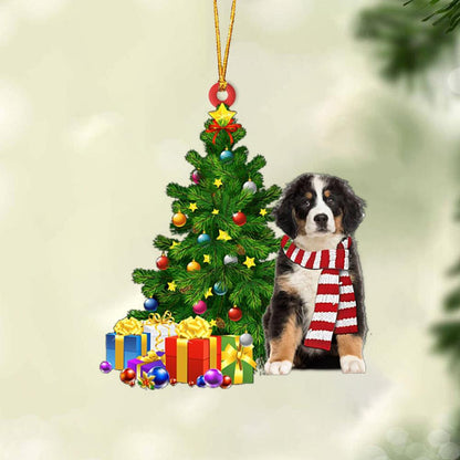 Bernese Mountain Dog-Christmas Star Hanging Christmas Plastic Hanging Ornament, Christmas Ornament Gift, Christmas Gift, Christmas Decoration