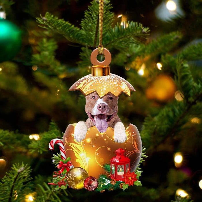 Pitbull In Golden Egg Christmas Ornament, Pet Love Gift, Christmas Ornament, Christmas Gift-1