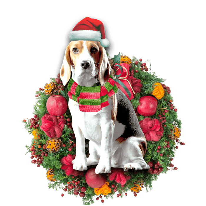 Beagle Christmas Christmas Plastic Hanging Ornament, Christmas Ornament Gift, Christmas Gift, Christmas Decoration