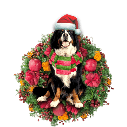 Bernese Mountain Christmas Ornament, Christmas Ornament Gift, Christmas Gift, Christmas Decoration