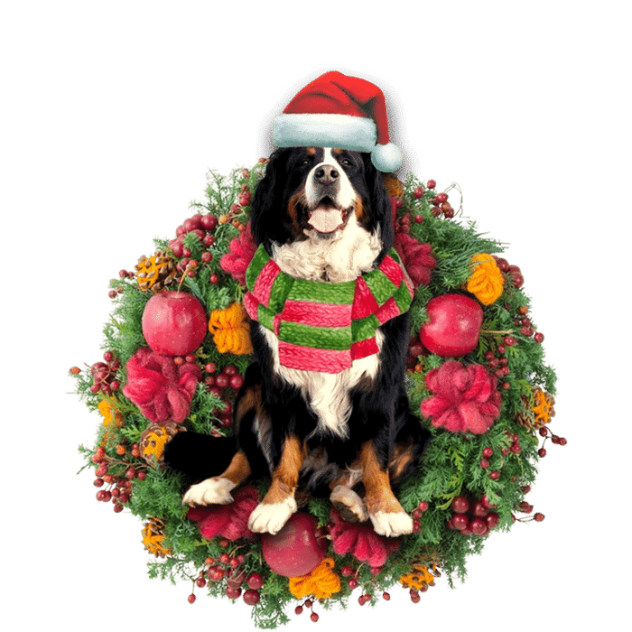 Bernese Mountain Christmas Ornament, Christmas Ornament Gift, Christmas Gift, Christmas Decoration