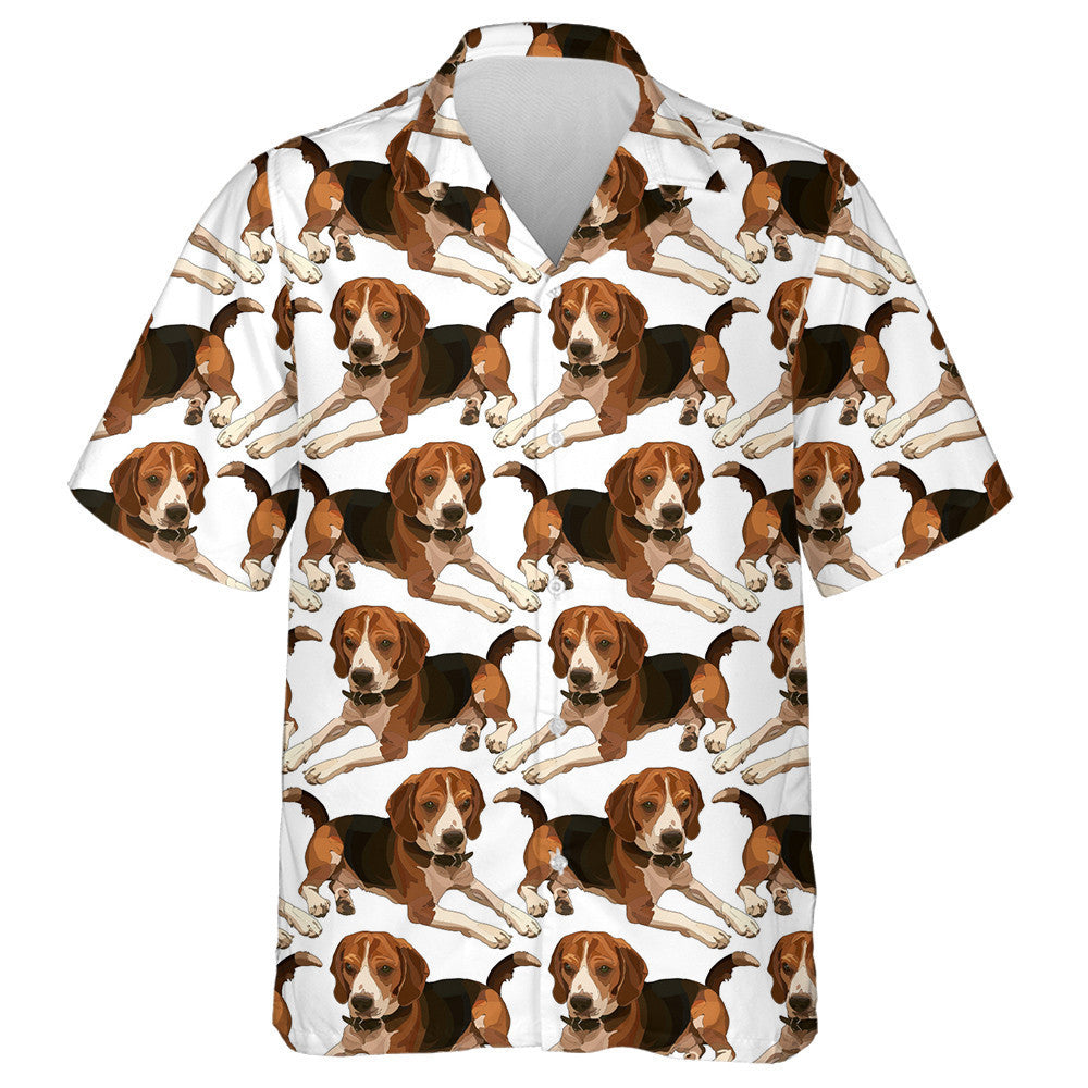 Tarraingt de Láimh Beagle i mBeartú Léine Réalaíoch Haváís, Haváis mar Bhronntanas