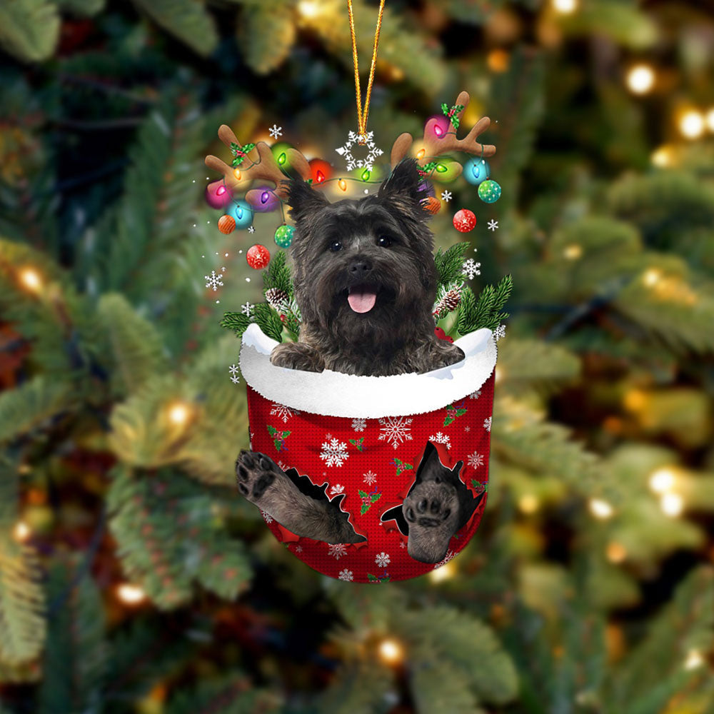 Cairn Terrier 2 In Snow Pocket Christmas Ornament Flat Acrylic Dog Ornament, Christmas Shape Ornament, Happy Christmas Ornament, Happy Christmas Ornament, Christmas Gift, Christmas Decoration