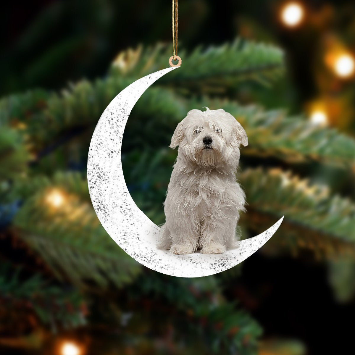 Coton De Tulear-Sit On The Moon-Two Sided Christmas Plastic Hanging Ornament, Christmas Gift, Christmas Decoration
