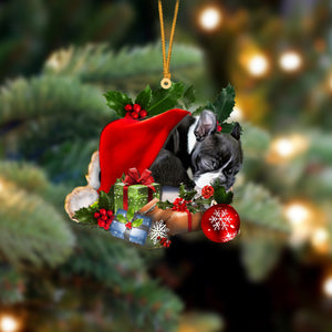 Boston Terrier-Sleeping In Hat Two Sides Christmas Plastic Hanging Ornament, Christmas Ornament Gift, Christmas Gift, Christmas Decoration