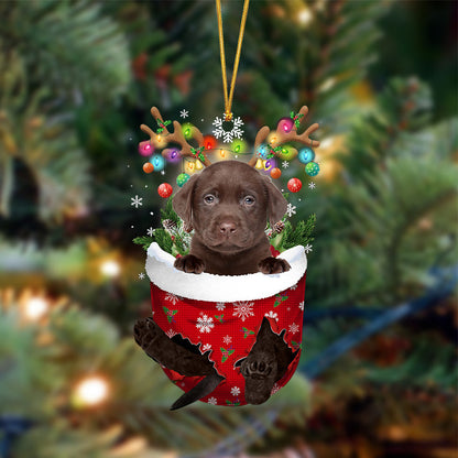 CHOCOLATE Labrador-In Christmas Pocket Two Sides Christmas Plastic Hanging Ornament, Christmas Gift, Christmas Decoration