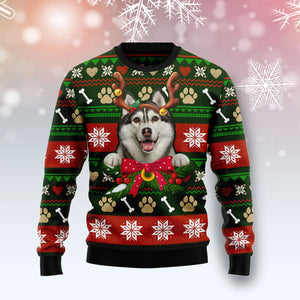 Siberian Husky Funny unisex womens & mens, couples matching, friends, funny family ugly christmas holiday sweater gifts,Christmas Ugly Sweater