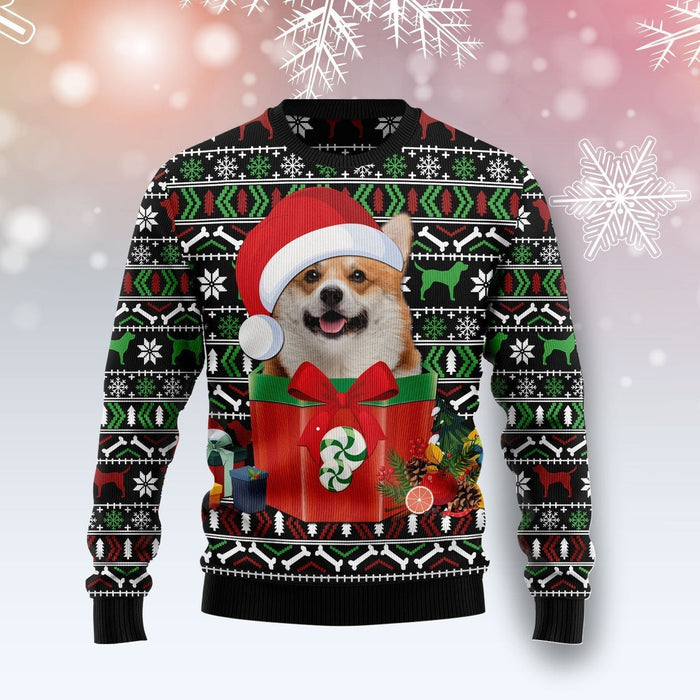 Funny Dog In The Gift Box Ugly Christmas Sweater, Christmas Gift, Gift Christmas 2024