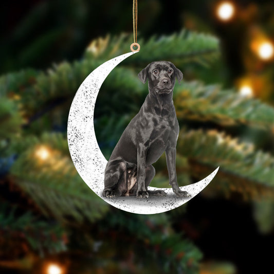 Black Labrador-Sit On The Moon-Two Sided Christmas Plastic Hanging Ornament, Christmas Ornament Gift, Christmas Gift, Christmas Decoration