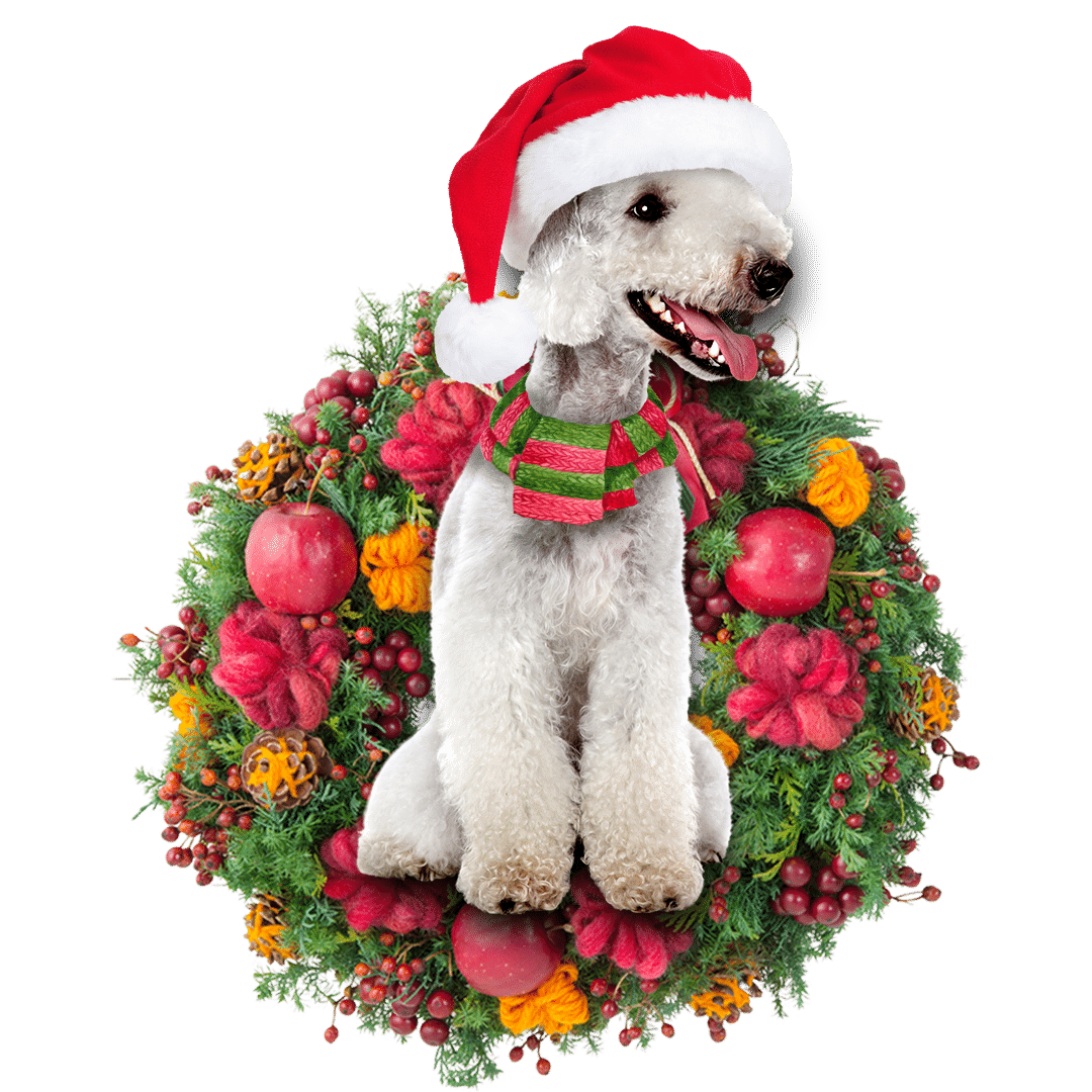 Bedlington Christmas Christmas Plastic Hanging Ornament, Christmas Ornament Gift, Christmas Gift, Christmas Decoration