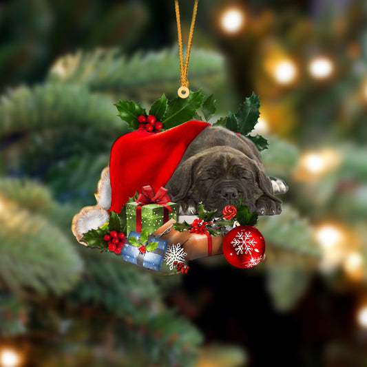 Cane Corso-Sleeping In Hat Two Sides Christmas Plastic Hanging Ornament, Happy Christmas Ornament, Christmas Gift, Christmas Decoration