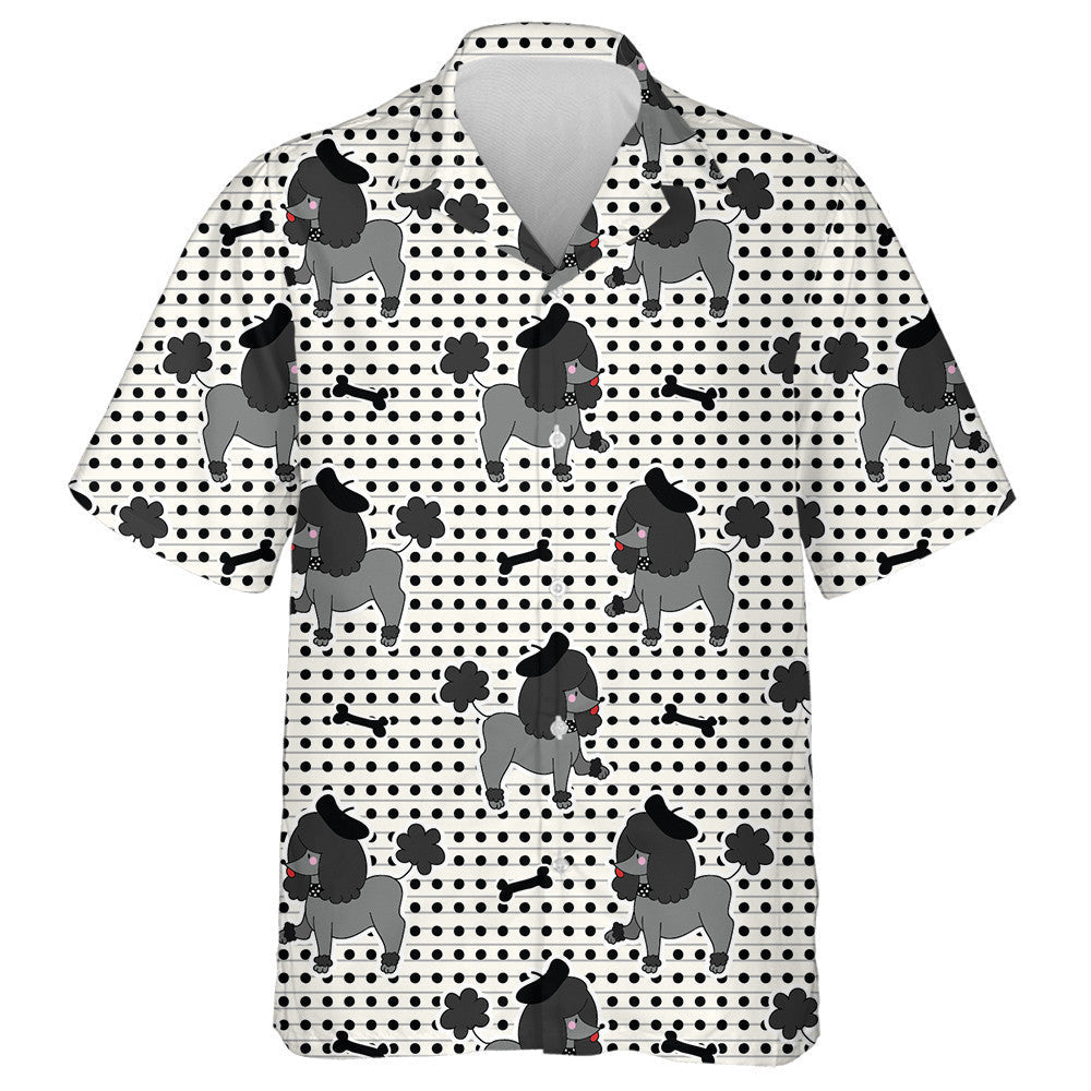 Madra Puppy Poodle Dubh Le Léine Haváis Chnámh, haváís le haghaidh bronntanais